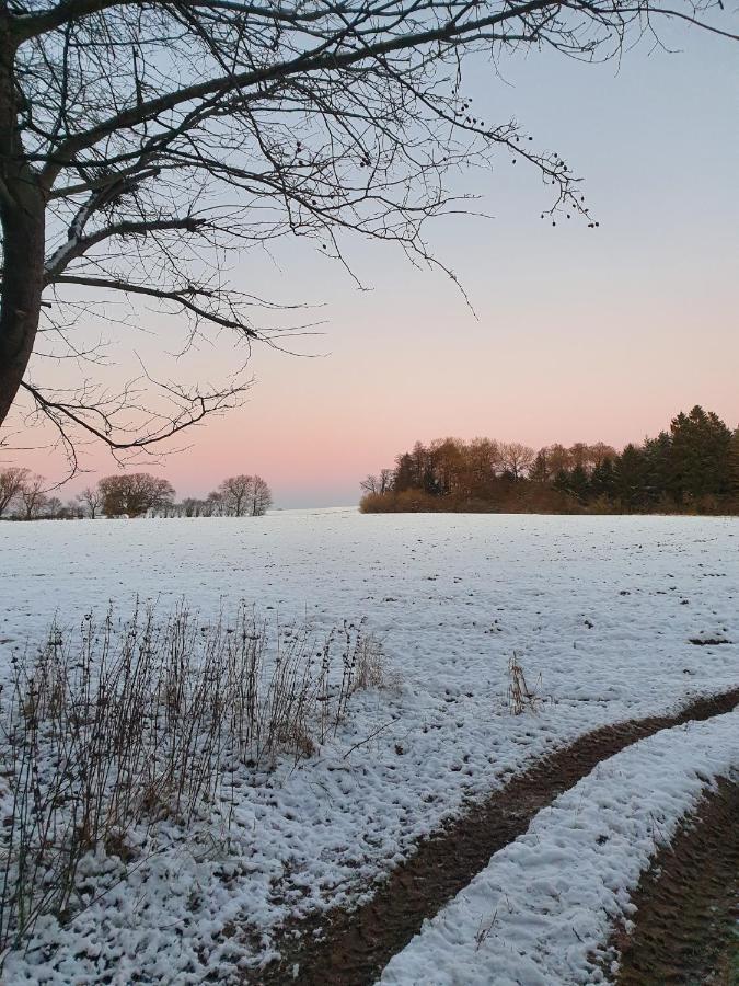 Edelsminde Bed & Breakfast Bed & Breakfast Haslev Exterior photo